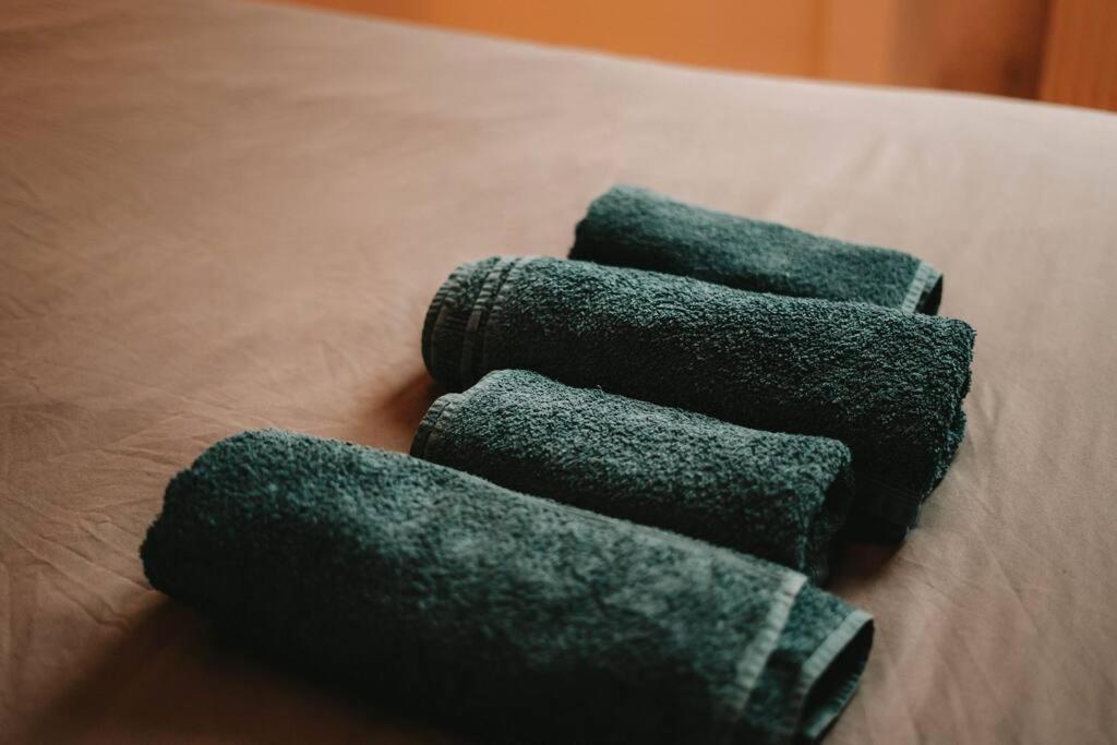 Ultimate Comfort ! Jacuzzi & Sauna. 贝桑松 外观 照片